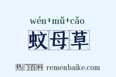 蚊母草是什么意思的图片